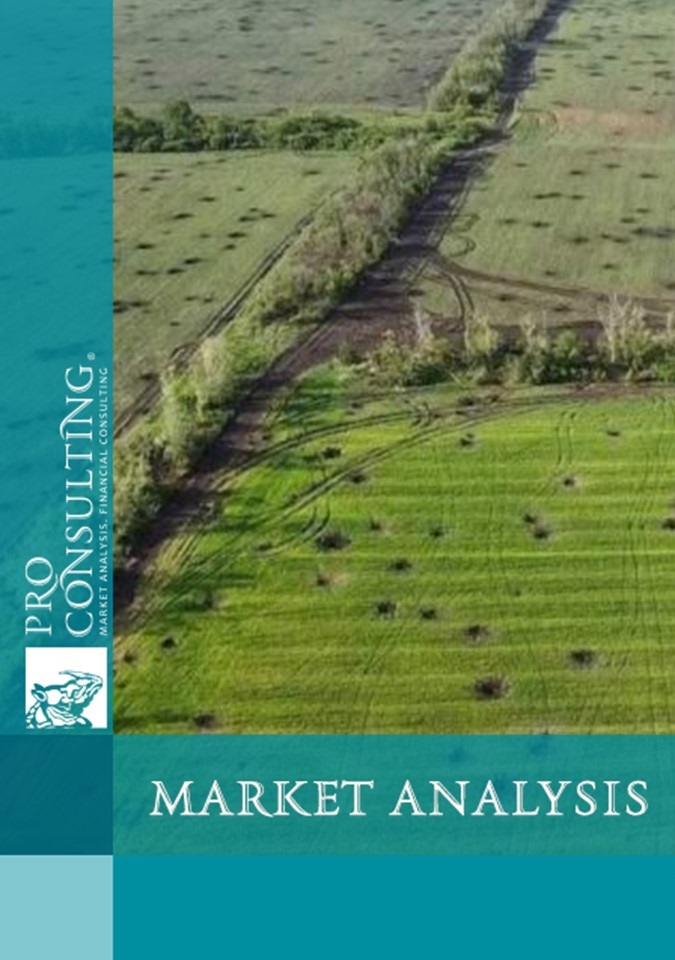 Assessment of the impact of the war on the agricultural markets of Ukraine according to the EMSMA methodology. 2023 year